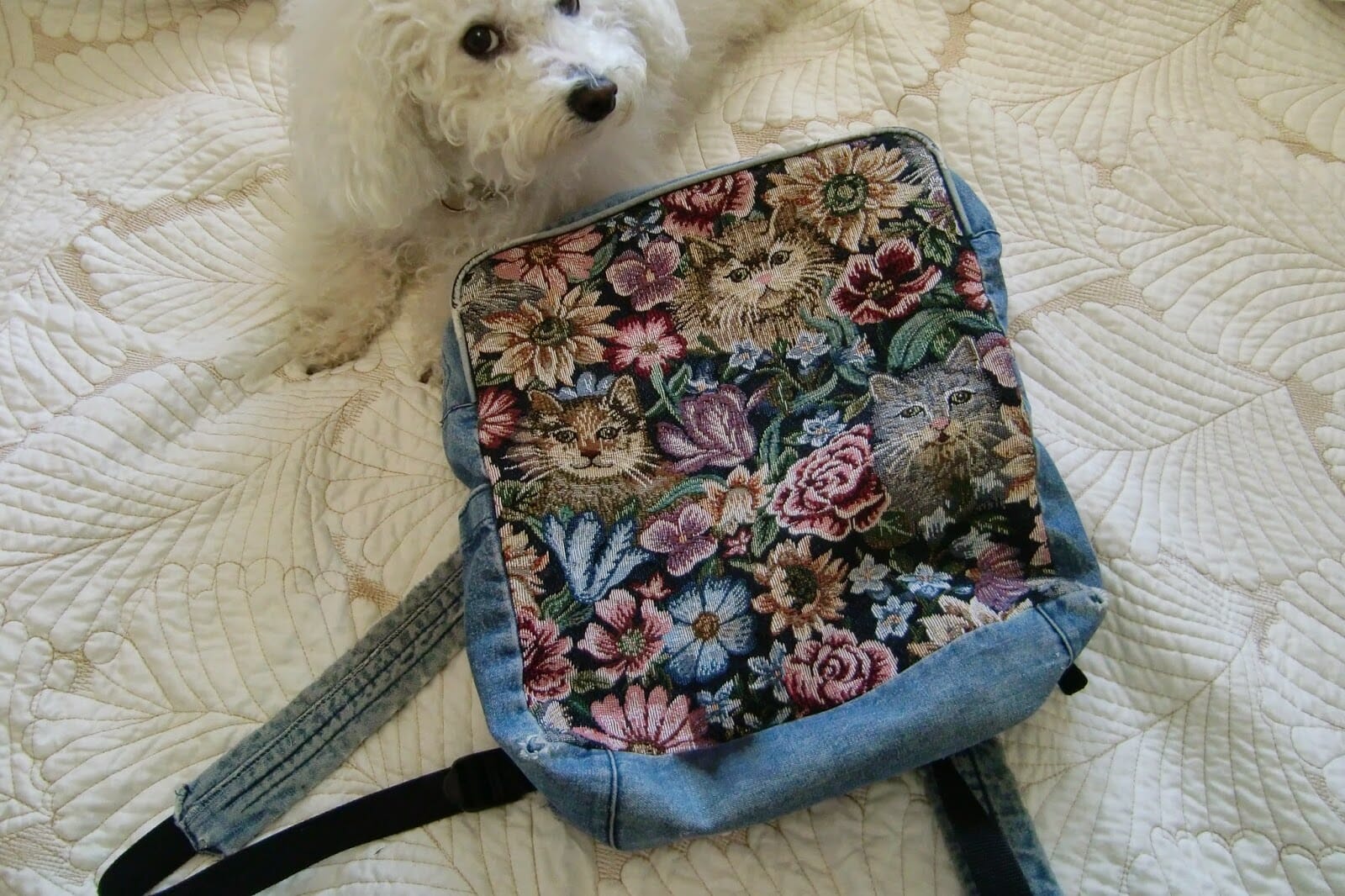 TBT: My Backpack