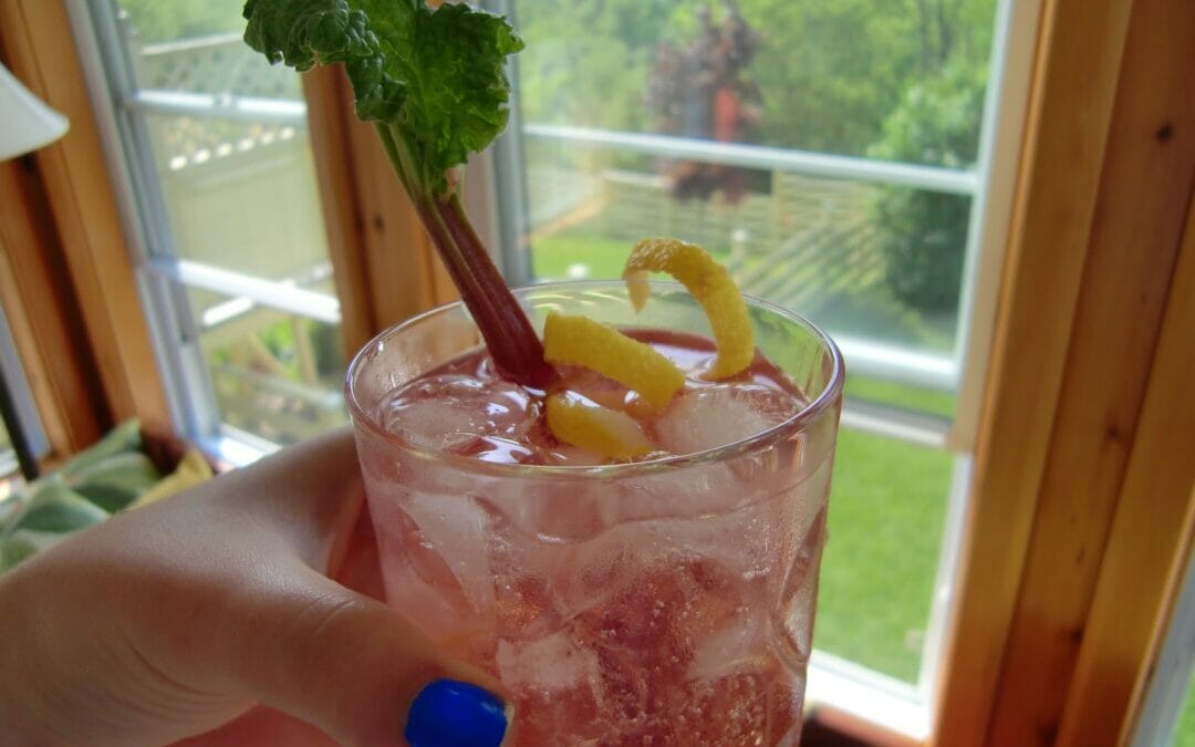 Tipsy Tuesday: Rhubarb Ginger Gin Fizz!