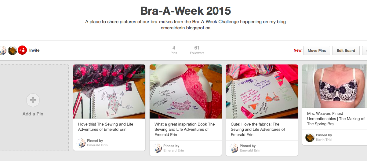Bra-A-Week – Join me on Pinterest and Flickr!